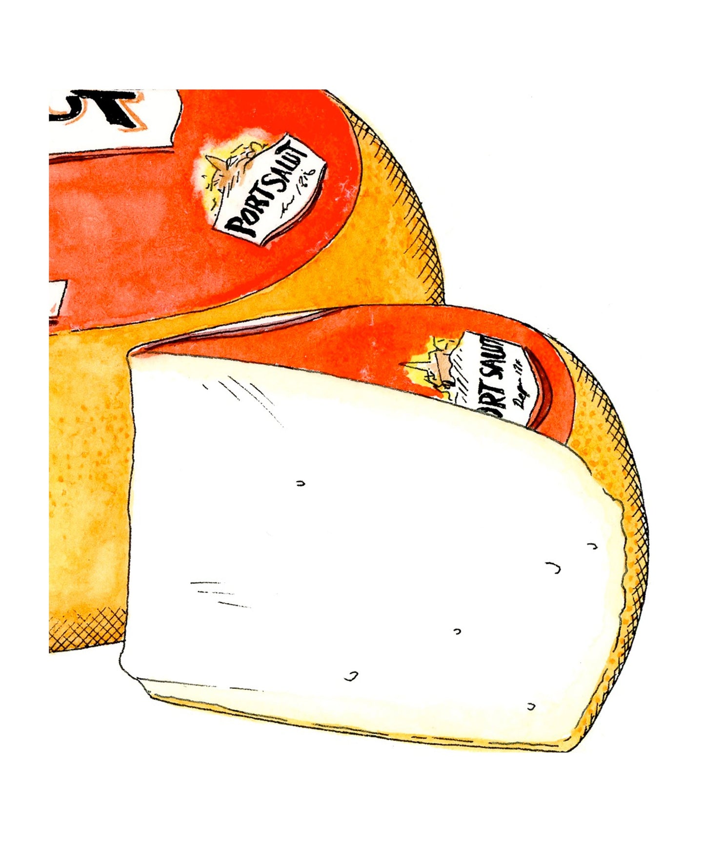 Port Salut Cheese Illustration