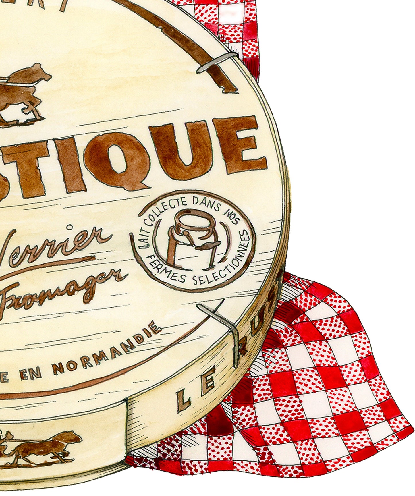 Camembert Illustration