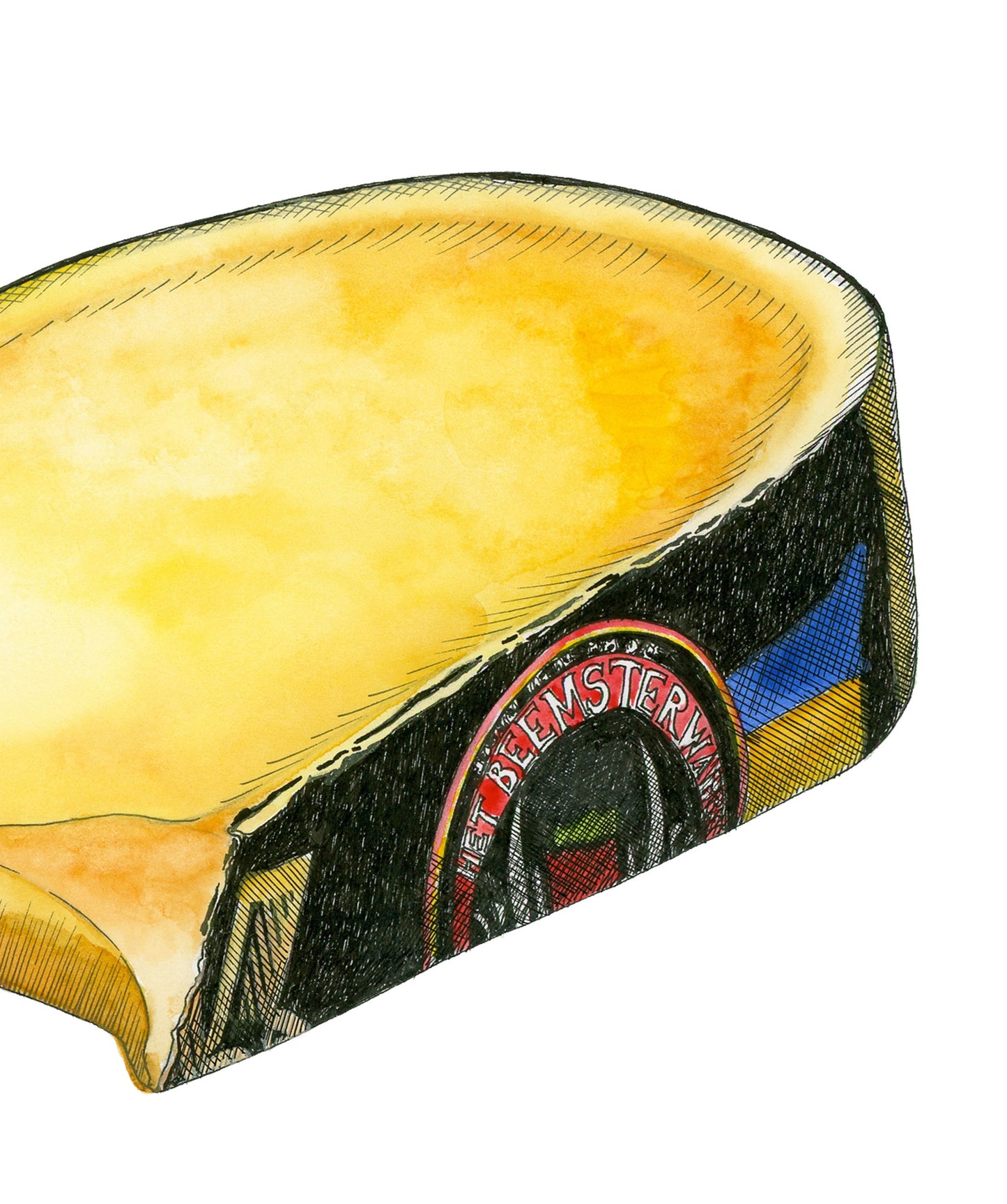 Gouda Cheese Illustration