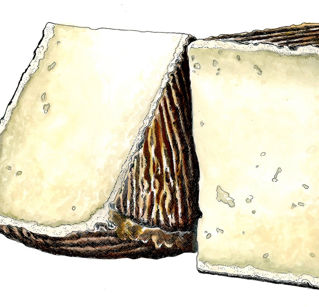 Pecorino Cheese Gicleé Print