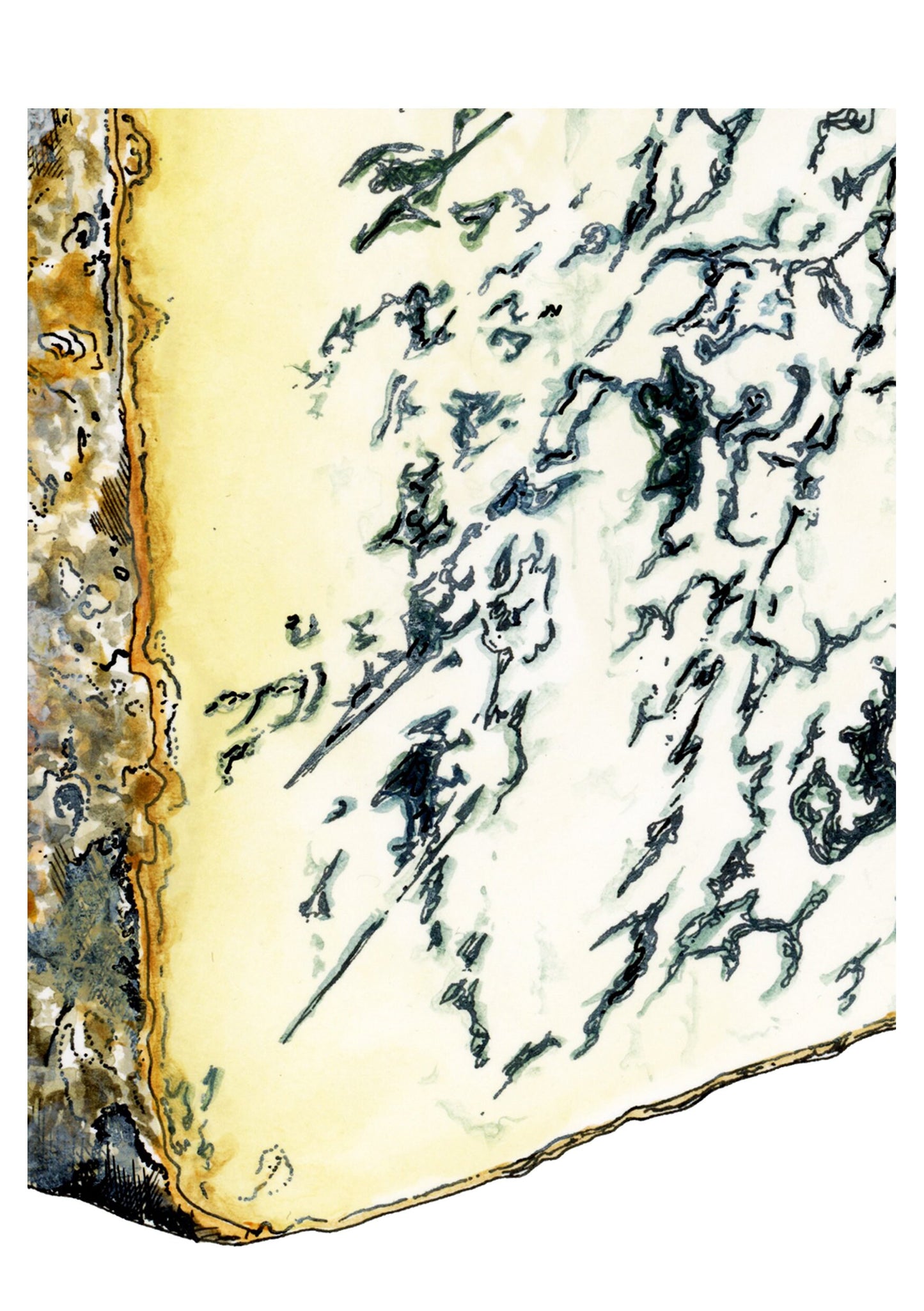 Stilton Cheese Illustration