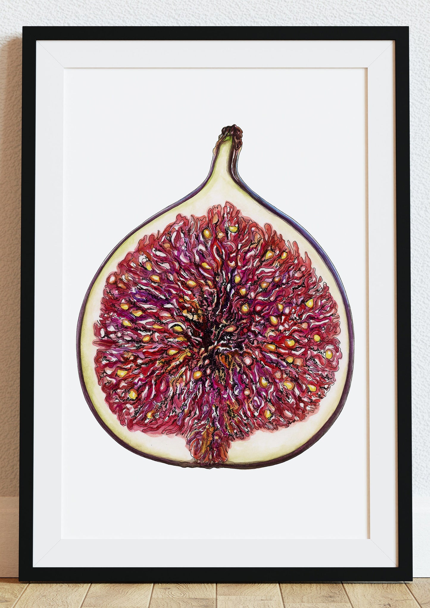 Fig Botanical Drawing