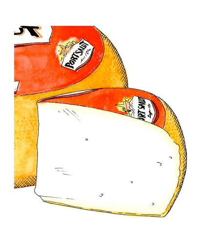 Port Salut Cheese Illustration