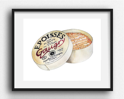 Époisses Cheese Illustration
