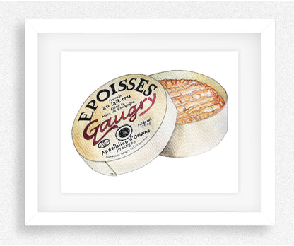 Époisses Cheese Illustration