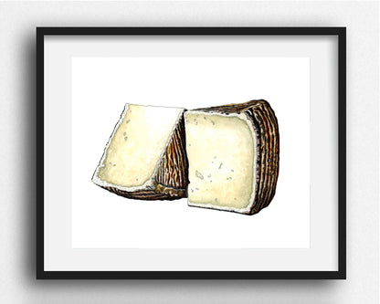 Pecorino Cheese Gicleé Print