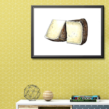 Pecorino Cheese Gicleé Print