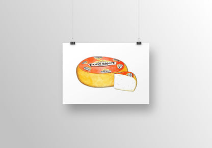 Port Salut Cheese Illustration