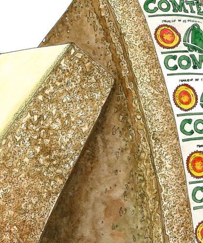 Comté Cheese Drawing