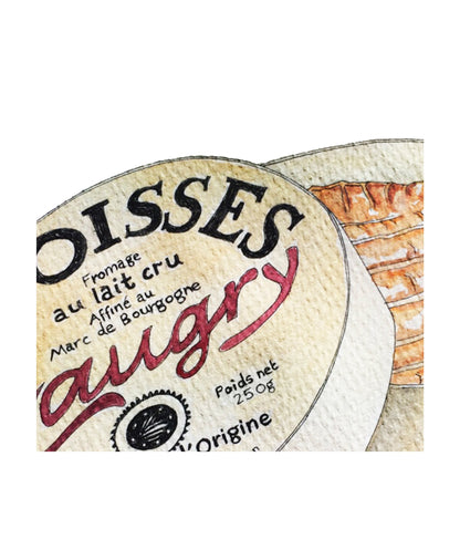 Époisses Cheese Illustration