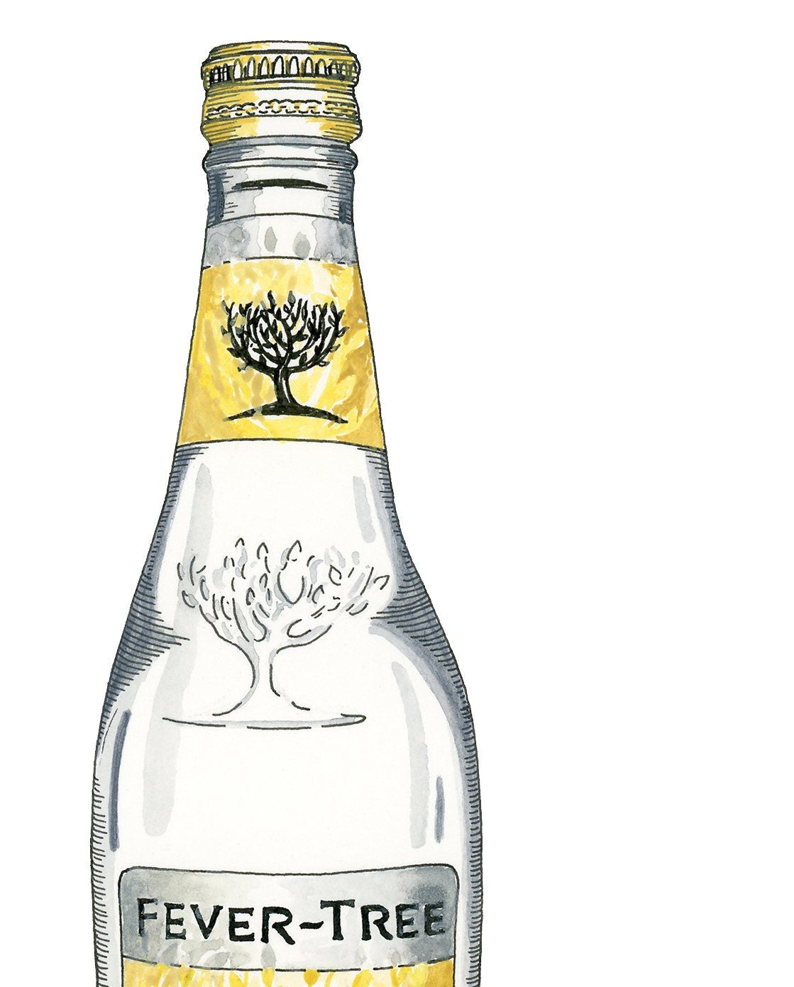 Fever Tree Tonic Drawing