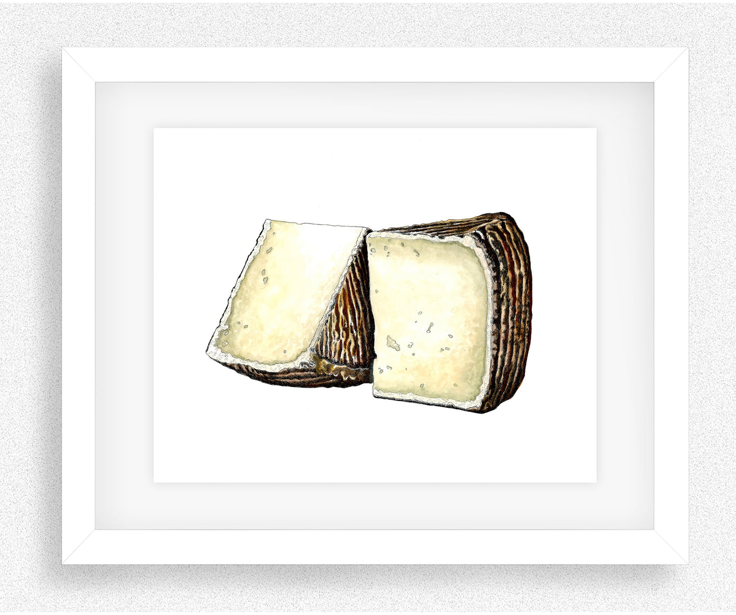 Pecorino Cheese Gicleé Print