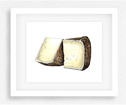 Pecorino Cheese Gicleé Print
