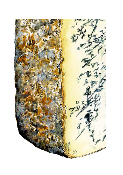 Stilton Cheese Illustration