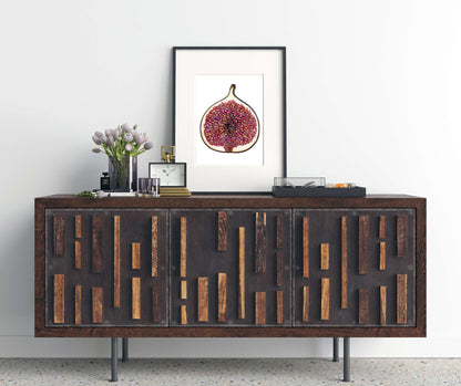 Fig Botanical Drawing