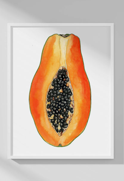 Papaya Botanical Drawing