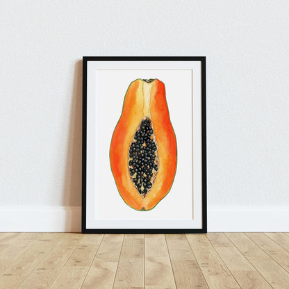 Papaya Botanical Drawing